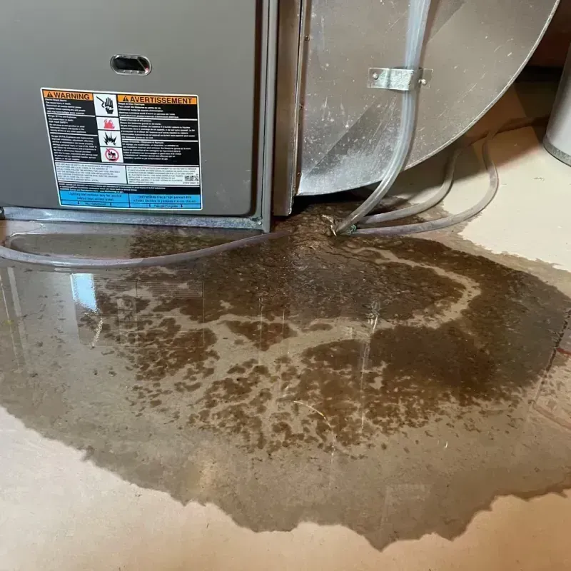 Appliance Leak Cleanup in Ross, CA